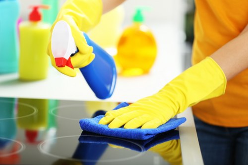 Deep cleaning treatment for pet urine stains and lingering smells in a Uxbridge home